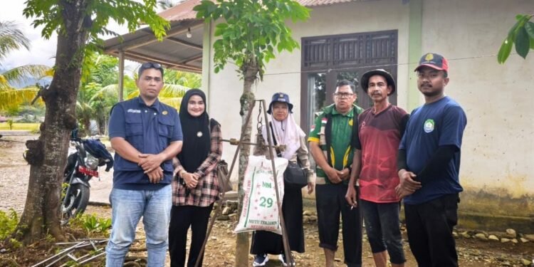 Produktivitas Padi Abdya Tembus 10,2 Ton per Hektare, Bukti Keberhasilan Penyuluh dan Petani
