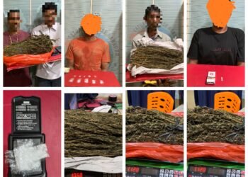 Sepekan, Polres Pidie Jaya Ungkap 4 Kasus Narkotika, 2,1 Kg Ganja Disita