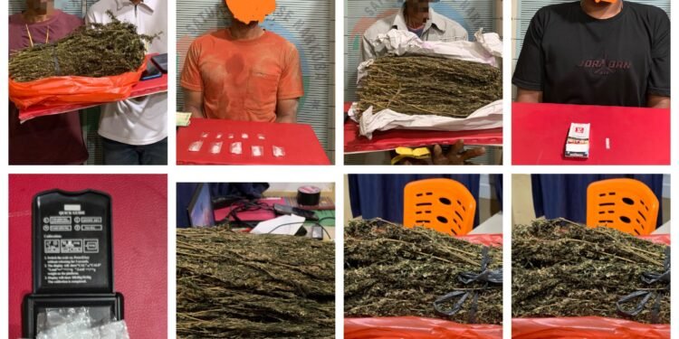 Sepekan, Polres Pidie Jaya Ungkap 4 Kasus Narkotika, 2,1 Kg Ganja Disita