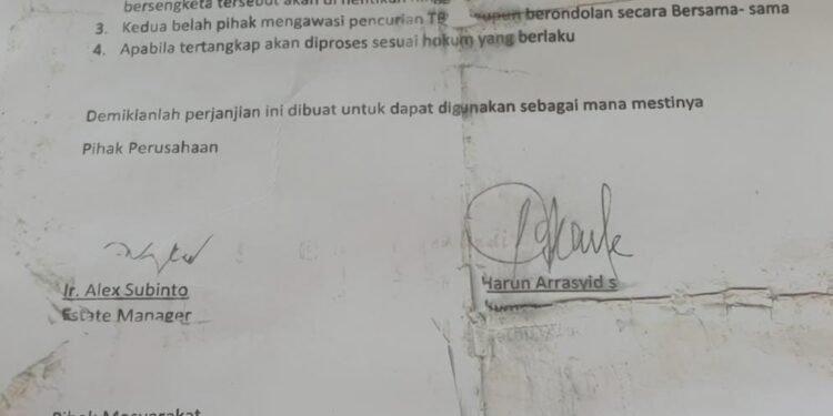 Meski Telah Ada Perjanjian Penghentian Panen, PT Cemerlang Abadi Diduga Masih Kelola Hasil di Lahan Sengketa Abdya