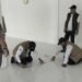 Kemenag Bireuen Kalibrasi Arah Kiblat Dua Musala Pesantren Al Zahrah