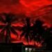 Viral ‘Langit Merah Darah’ Gegerkan Warga China