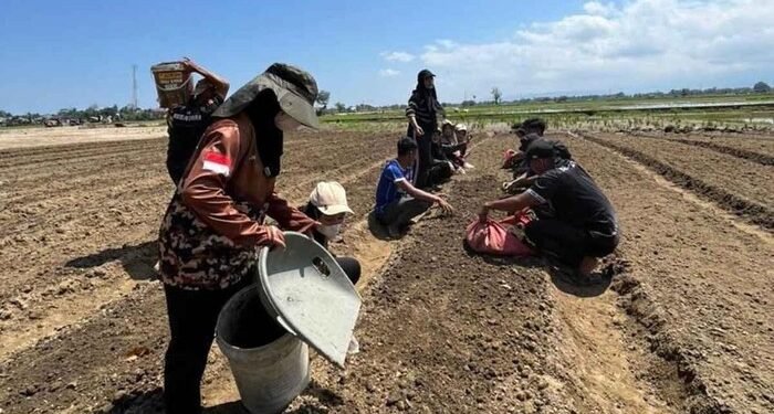 Satgas PRR Dorong Pemda Aceh Percepat Realisasi Tambahan TKD Rp 1,65 Triliun