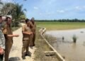 Krak, 8.074 Hektare Sawah di Aceh Timur Dipulihkan