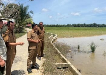 Krak, 8.074 Hektare Sawah di Aceh Timur Dipulihkan