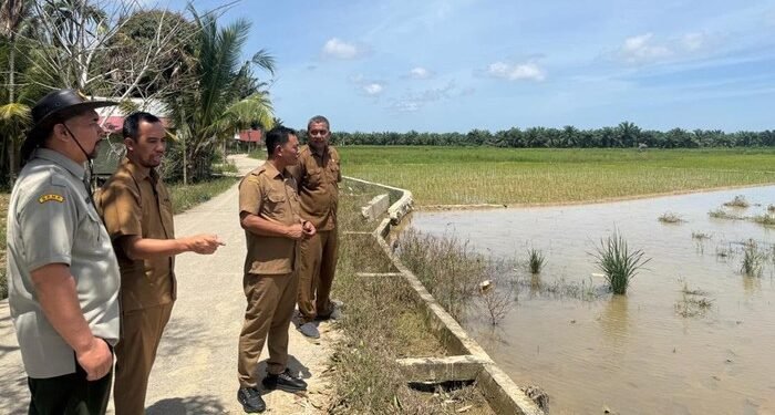 Krak, 8.074 Hektare Sawah di Aceh Timur Dipulihkan