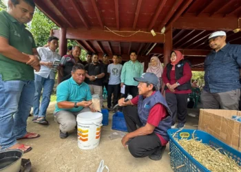 FKH UNAIR Kenalkan Wafer Pakan Komplet di Aceh Besar