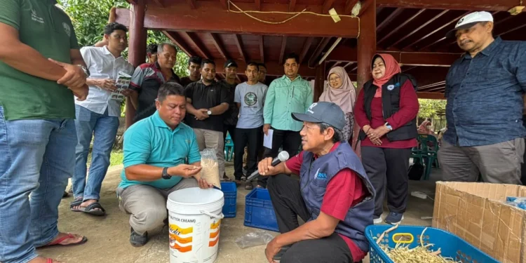 FKH UNAIR Kenalkan Wafer Pakan Komplet di Aceh Besar