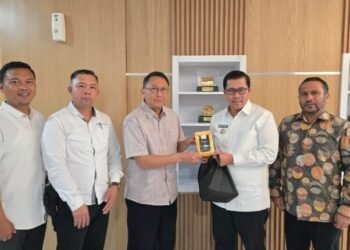 Haili Yoga Bahas Sumber Pendanaan dan Pembiayaan PPPK untuk Pemulihan Pascabencana Aceh Tengah