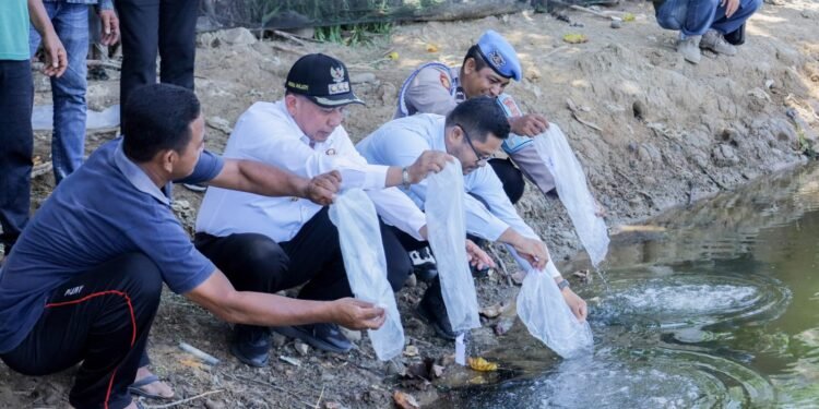 2,82 Juta Benur Digelontorkan, Sibral Pacu Tambak Pidie Jaya Bangkit Usai Bencana
