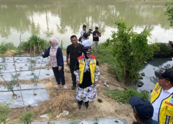 Jelang Musim Hujan, Illiza Tinjau Pembangunan Drainase dan Pemeliharaan Jalan