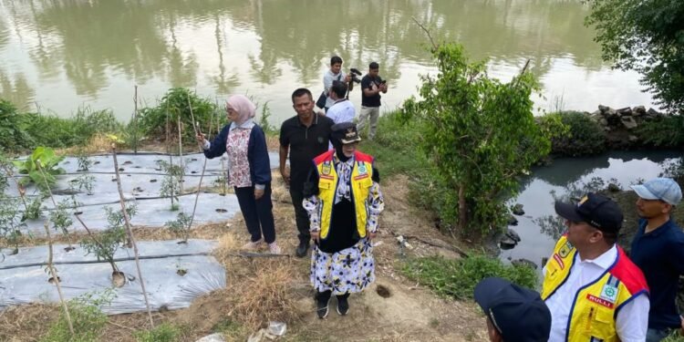 Jelang Musim Hujan, Illiza Tinjau Pembangunan Drainase dan Pemeliharaan Jalan