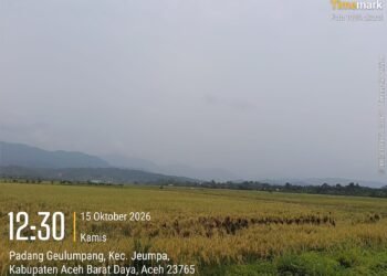 Karhutla di Kalimantan dan Sumatera Selatan, Langit Abdya Ikut Kelam Diselimuti Kabut Asap