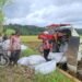 Harga Gabah di Abdya Terjun Bebas di Angka Rp5.000 per Kg, Bulog Diminta Ambil Peran