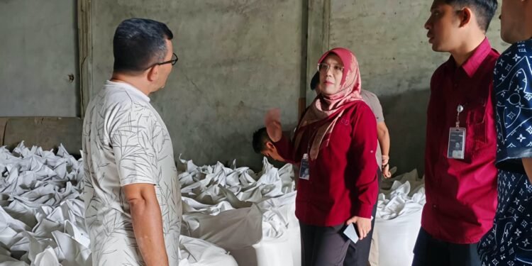 Sesudah Diberitakan Bulog Turun ke Sawah, Harga Gabah di Abdya Naik Lagi Rp6.700 Hingga Rp6.800