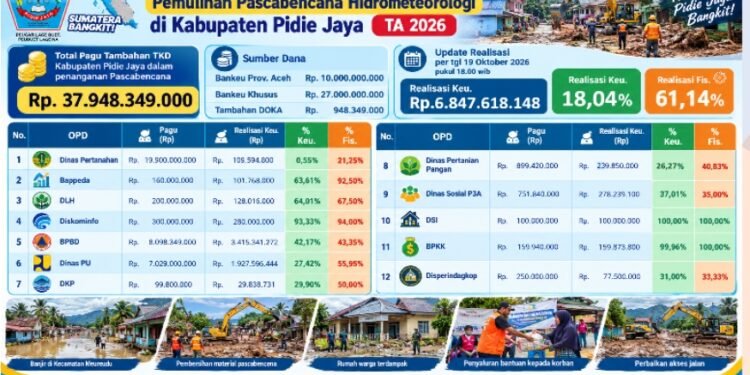 Ohku, Uang Baru Terserap 18 Persen, Fisik Sudah 61 Persen: Ada Apa dengan TKD Pidie Jaya?