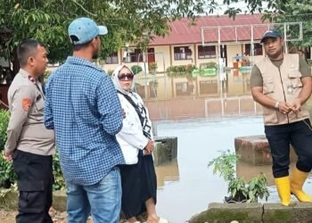 Ini kata Kepsek Lakukan Penebangan Pohon di SMAN 1 Simpang Ulim
