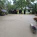 Ohku, Banjir Kembali Rendam 3 Kabupaten Kota di Aceh