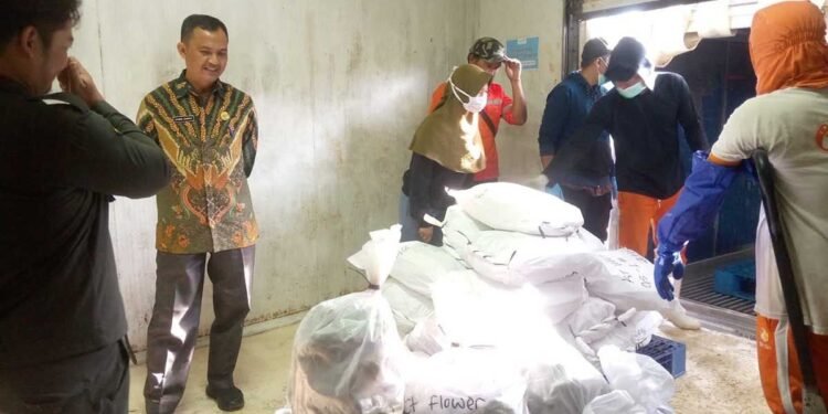 Enam Ton Ikan Segar dari Pulau Simeulue Diekspor ke Jepang
