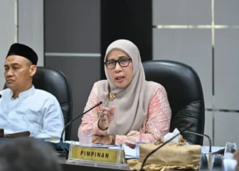 Legislatif Dorong Kehandalan Listrik untuk Sabang
